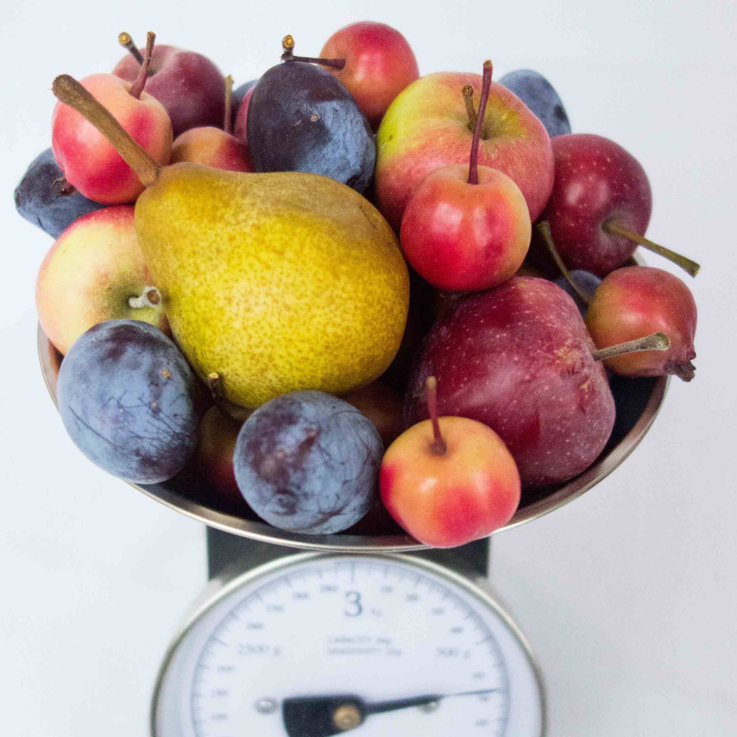 Ernährungsberatung
